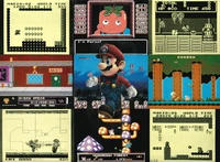 Mario Enters Reality