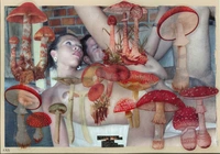 I Want to be a Mushroom