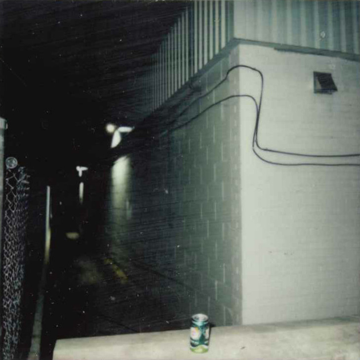 Timeless Zone Collection